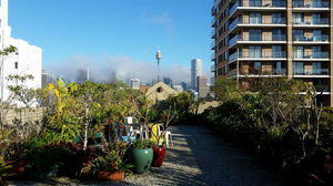 Regents Court Sydney