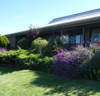 Boomers Guest House Hamilton - Rental Cars