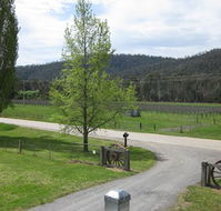 Glenmore Springs Accommodation - Rental Cars