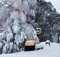Feathertop Alpine Lodge - Rental Cars
