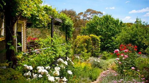 Kookaburra Ridge - Rental Cars 3