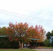 Allambie Motel Pty Ltd - Rental Cars