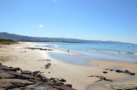 Apollo Bay Recreation Reserve - Rental Cars 2