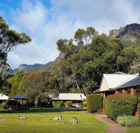 Pinnacle Holiday Lodge - Rental Cars