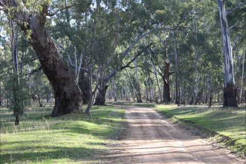 Hughes Park Cottage & Weddings - Rental Cars 2