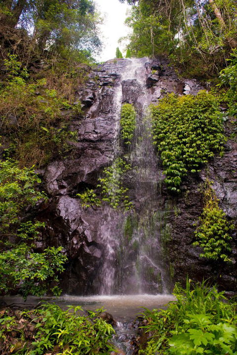 Nimbin Waterfall Retreat - Rental Cars 0
