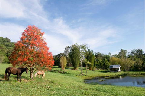 Nimbin Waterfall Retreat - Rental Cars 1