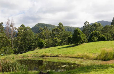 Nimbin Waterfall Retreat - Rental Cars 3