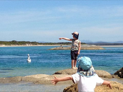 North East River Camping Ground - Rental Cars 0