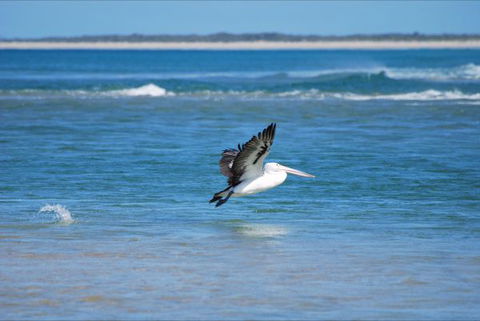 North East River Camping Ground - Rental Cars 5