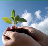 Vital Spirit Natural Health - Rental Cars