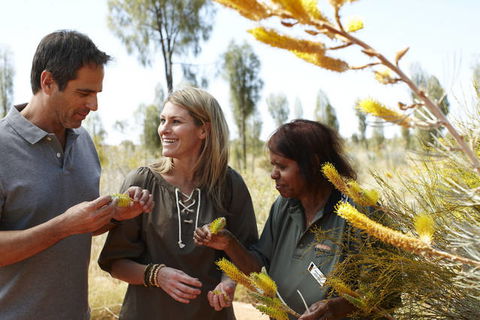 Ayers Rock Campground - Rental Cars 2