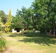 Banderra B and B Farmstay - Rental Cars