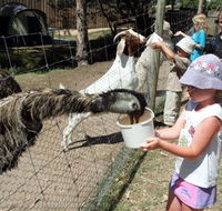 BIG4 Bairnsdale Holiday Park - Rental Cars