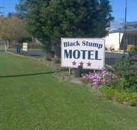 Coolah Black Stump Motel - Rental Cars