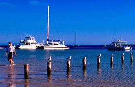Blue Dolphin Caravan Park & Holiday Village - Rental Cars 4