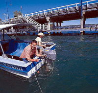 Comfort Inn Mandurah - Rental Cars