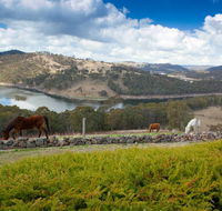 Eagle View Escape - Rental Cars