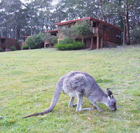 Jenolan Caves Cottages - Rental Cars