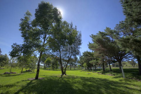 Killarney View Cabins And Caravan Park - Rental Cars 4