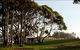 Kioloa Beach Holiday Park - thumb 5