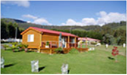 Maydena Country Cabins and Alpacas