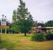 Riverside Motel - Rental Cars