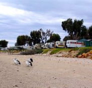 Stansbury Foreshore Caravan Park - Rental Cars