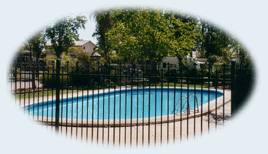 Sun City Caravan Park - Rental Cars