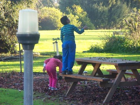 Toora Lodge Motel - Rental Cars 2