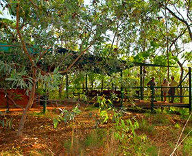 Arnhemland Barramundi Nature Lodge - Rental Cars 0