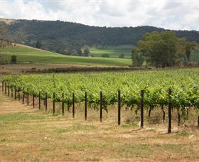 Acacia Park Farm House - Rental Cars 7