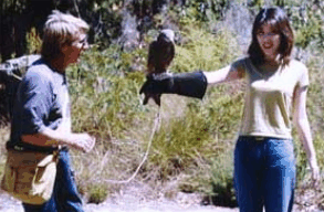 Eagles Heritage Raptor Wildlife Centre - Rental Cars 2