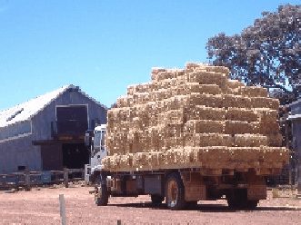 Avondale Discovery Farm - Rental Cars 1