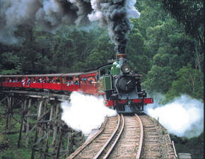 Puffing Billy - Rental Cars 1