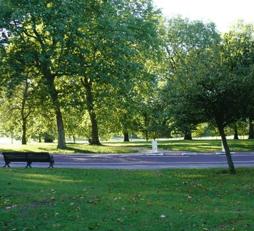 Riverdale Park - Rental Cars