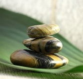 The Nature of Balance - Rental Cars