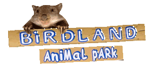 Birdland Animal Park - Rental Cars