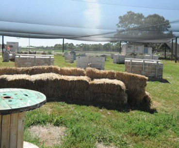 We Are Paintball - Rental Cars 0