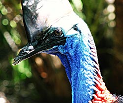 Alma Park Zoo - Rental Cars 0
