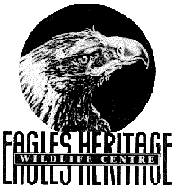 Eagles Heritage - Rental Cars