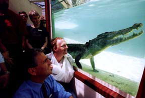 Alice Springs Reptile Centre - Rental Cars 1