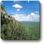 Kakadu National Park - Rental Cars 2