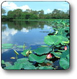 Kakadu National Park - Rental Cars 3