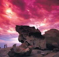 Kangaroo Island Adventure Tour 2 day/1 night - Rental Cars