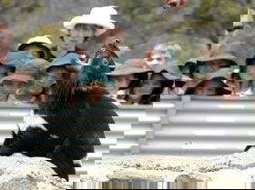 Tasmania Zoo - Rental Cars 0