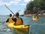Sydney Harbour Kayaks - Rental Cars 1