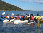 Sydney Harbour Kayaks - Rental Cars 2