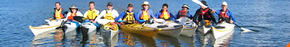 Sydney Harbour Kayaks - Rental Cars 3
