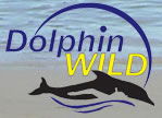 Dolphin Wild - Rental Cars 0